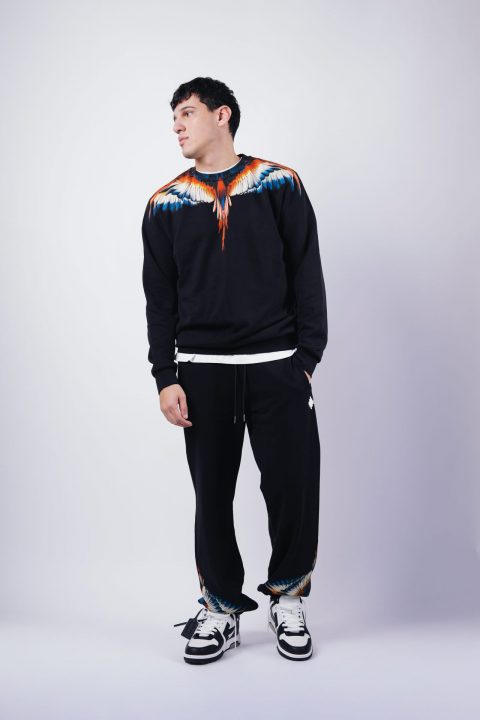 FELPA – COUNTY OF MILAN