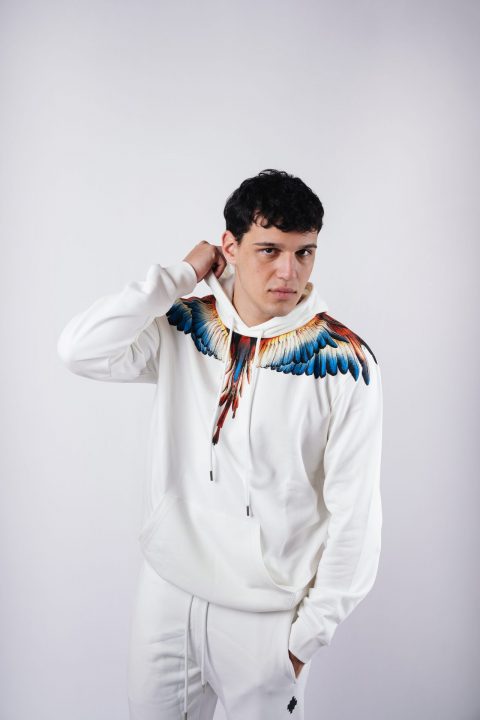 FELPA – COUNTY OF MILAN