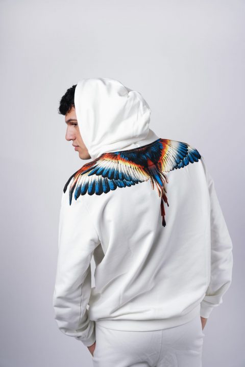 FELPA – COUNTY OF MILAN