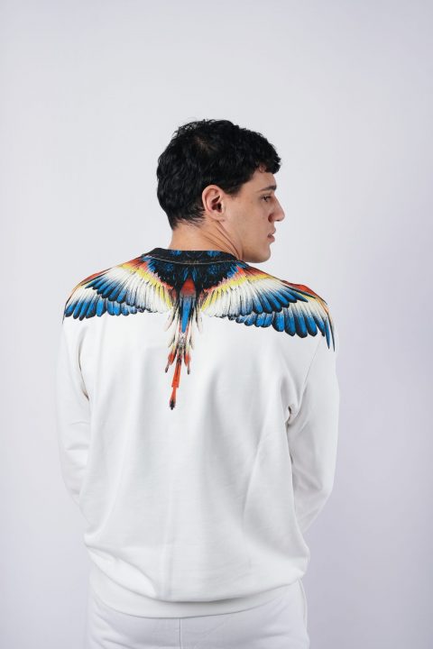 FELPA – COUNTY OF MILAN