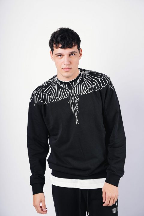 FELPA – COUNTY OF MILAN